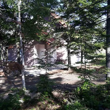 Ljuti Krs